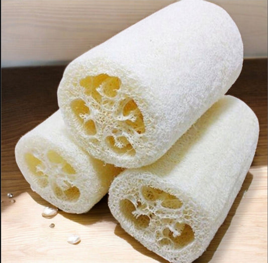 Coconut Cream Shea Butter Soap on a Rope – Exfoliating Massage Bar with Natural Loofah